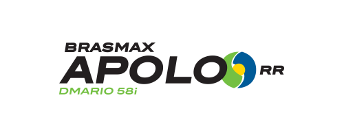 Apolo