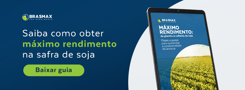 banner máximo rendimento na safra de soja