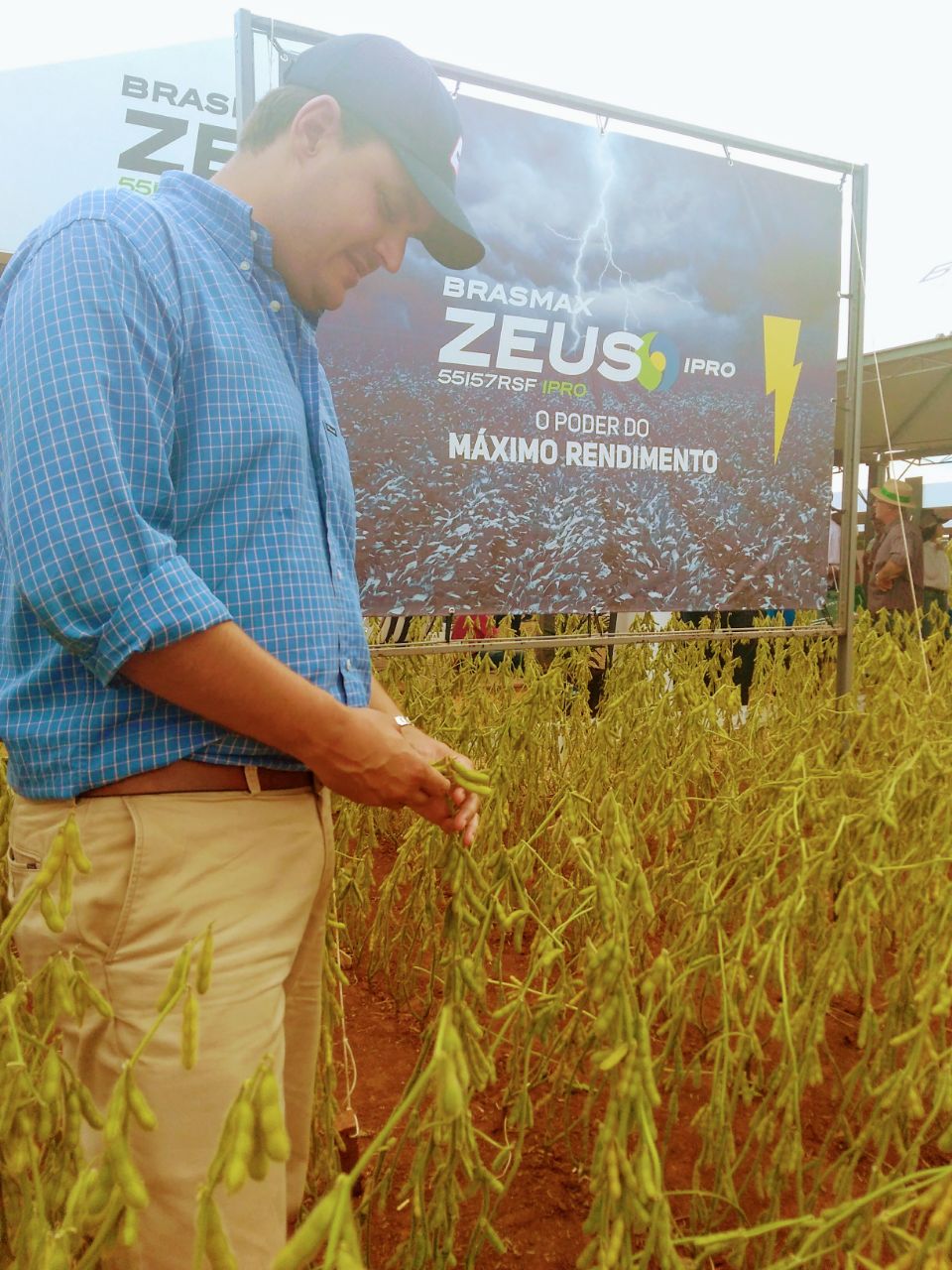 Produtor Fernando D’Ávila utilizou Brasmax Zeus na plantação de soja. Brasmax Zeus Fernando D’Ávila