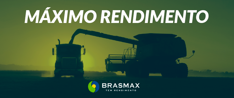 Máximo rendimento Brasmax Genética Máximo rendimento Brasmax Genética