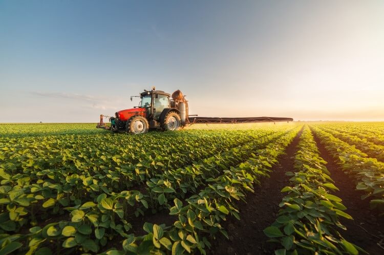 Cultivar ideal - trator realizando pulverização em lavoura de soja.