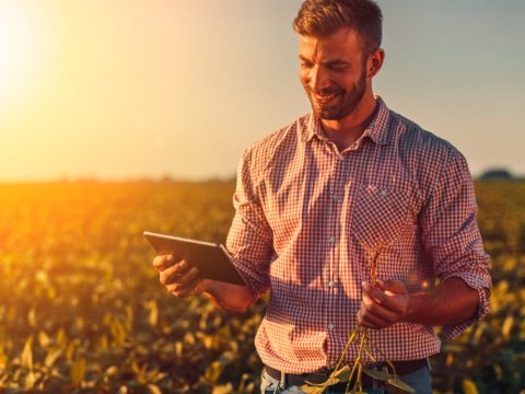 produtor rural com tablet na mão conferindo canais de agricultura no YouTube.