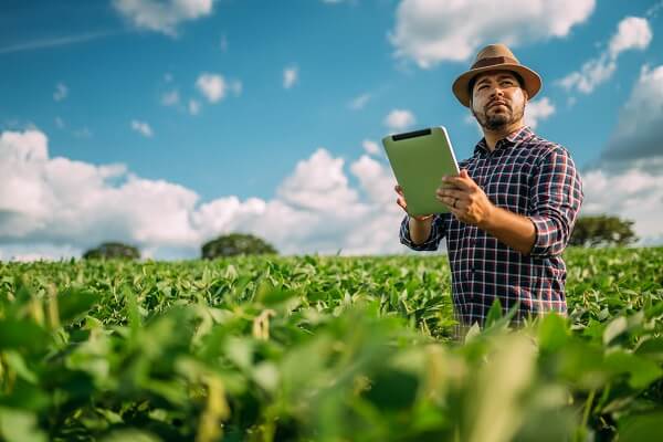 Gestão da propriedade rural - Homem de camisa xadrez e chapéu mexe em um tablet no meio de uma lavoura de soja.