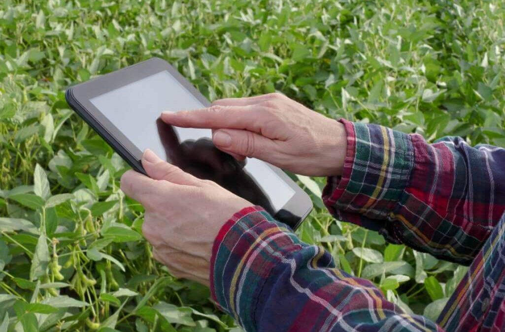 Tecnologia na lavoura. Pessoa branca clicando em tablet em lavoura de soja.