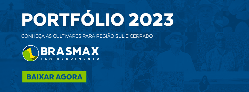 Banner para portfólio 2023 da Brasmax.