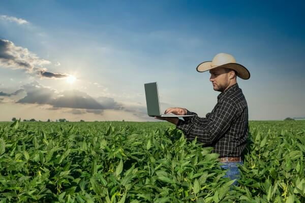 Sojicultor mexendo em laptop no meio da lavoura.