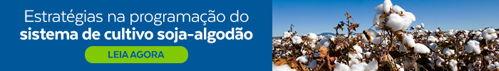 Banner para texto do blog da Brasmax sobre sucessão de cultura de soja-algodão.