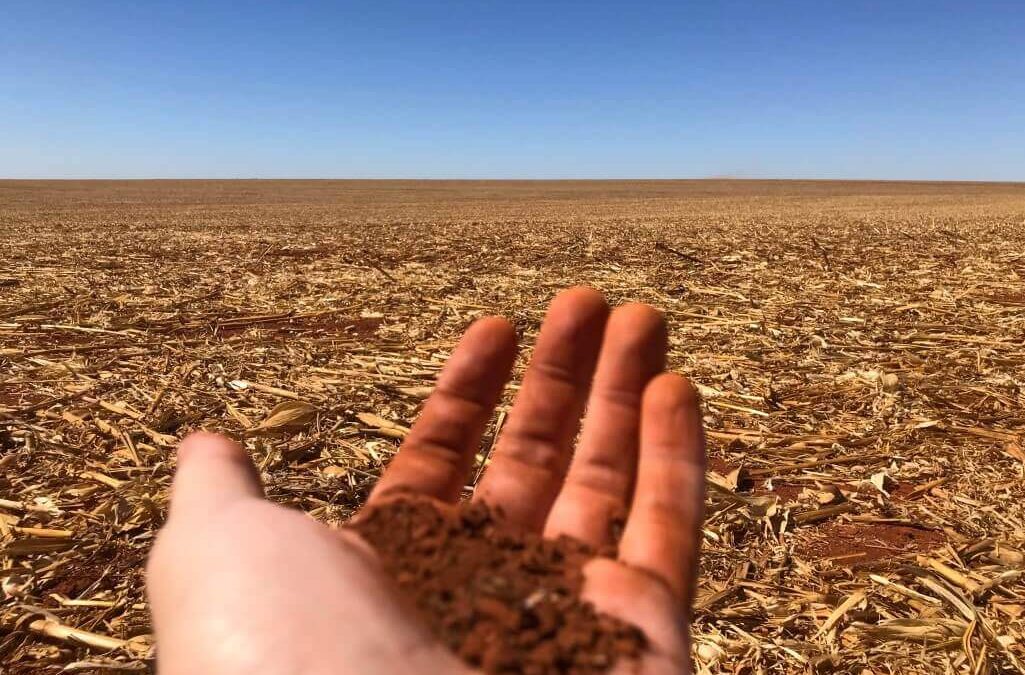 Produtor segura terra na mão, em frente de talhão de soja com palhada.