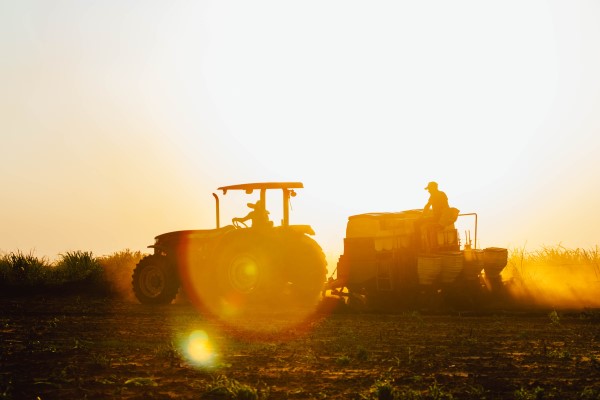 Máquinas agrícolas realizando preparo da lavoura pré-plantio da soja.