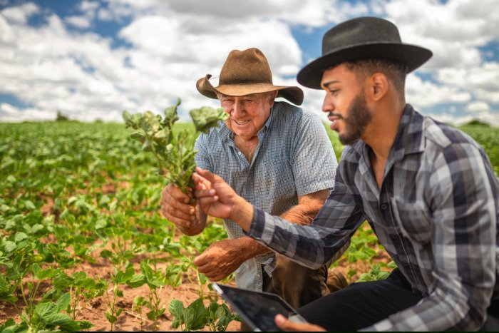 sucessão rural - dois homens em um campo analisando a plantação