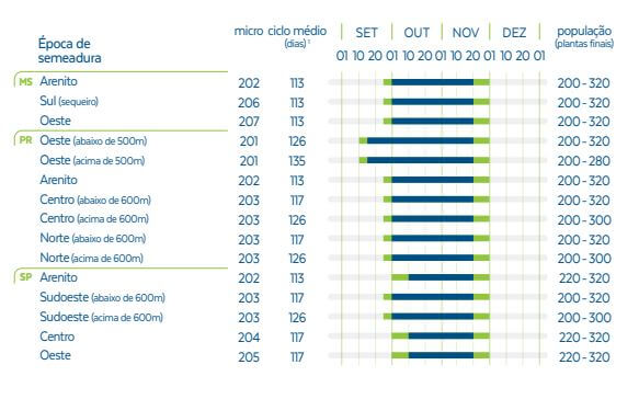 Safra de soja 2024-3