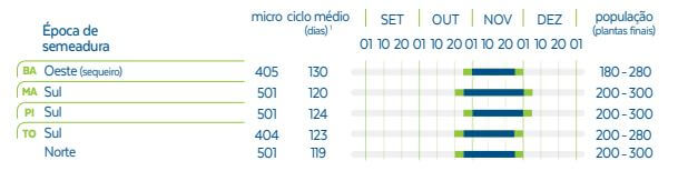 Safra de soja 2024-5