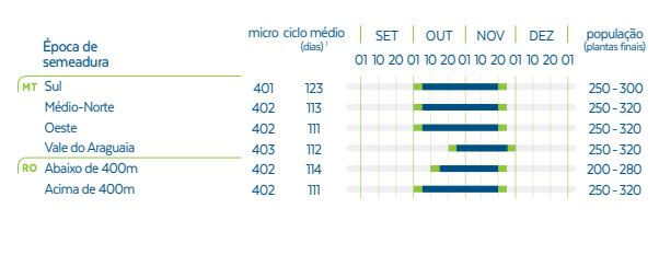 Safra de soja 2024-4