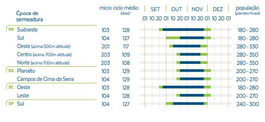 Safra de soja 2024-2