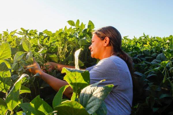 mulher no agro cadeia produtiva