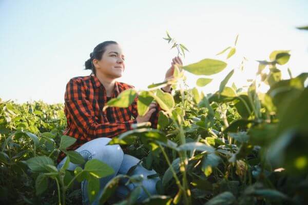 engenheira agrônoma em campo