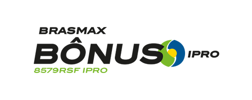 Bônus
