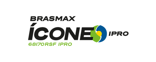 Ícone