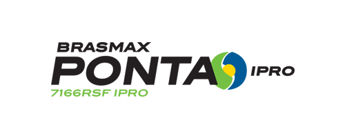 Ponta – Sul