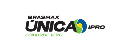 Única