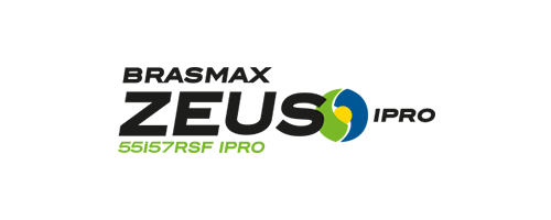 Zeus