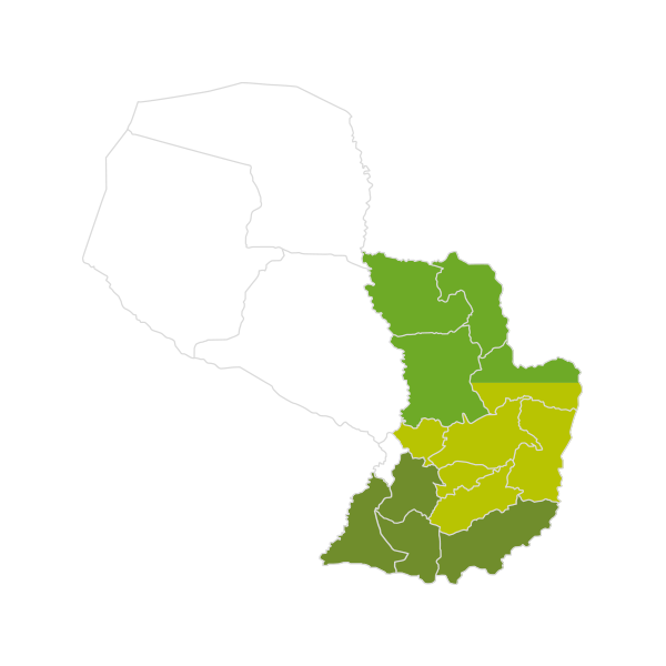 Ícone – Paraguai