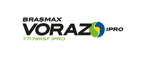 Voraz