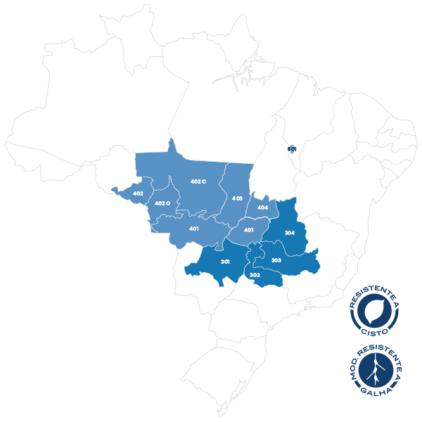 Foco