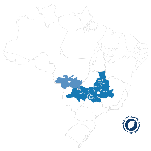 Ponta – Cerrado