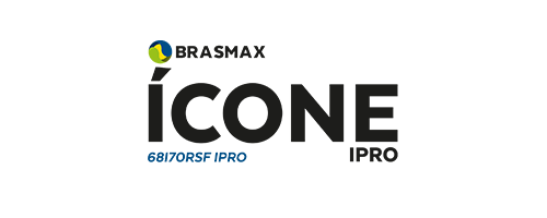Ícone