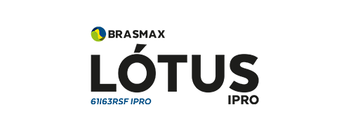 Lótus