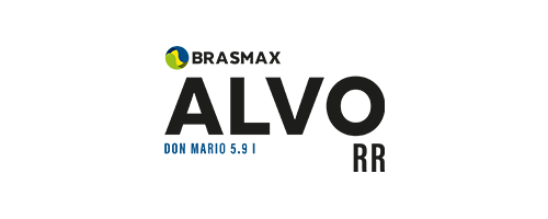 Brasmax Nexus I2X Dourados- MS 