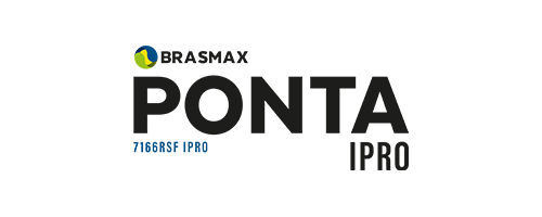 Ponta – Cerrado