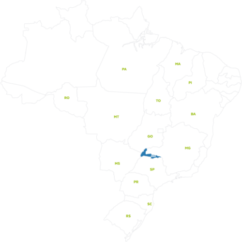 NEXUS I2X, Nexus I2X é o lançamento da Brasmax especialmente para a região  de Mato Grosso do Sul e parte do Paraná e São Paulo. A cultivar apresenta  arquitetura